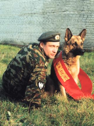 Чеченин В. П.