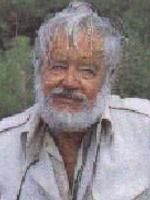 Фальк-Рённе Арне