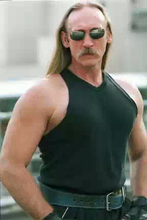 Робертс Грегори Дэвид