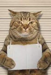 1 Первобытность