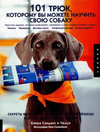 101 трюк, которому вы можете научить свою собаку