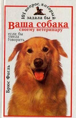 101 вопрос, который задала бы ваша собака своему ветеринару (если бы умела говорить)