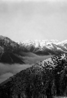 14. Пополнение.