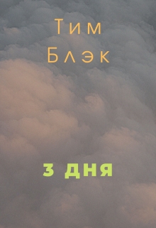 3 дня