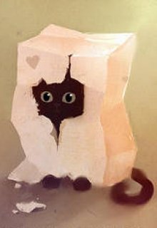 3. Кошка и находки