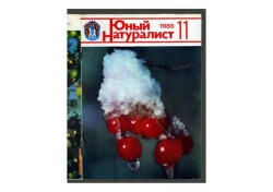 Юный натуралист 1986 №11