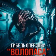 Гибель операции 