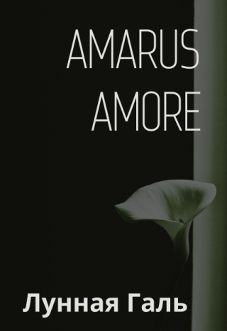 Amarus Amore