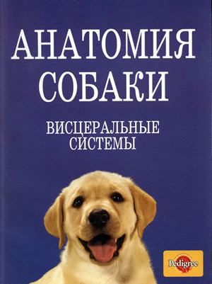 Анатомия собаки. Висцеральные системы