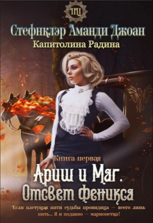 Ариш и Маг. Отсвет феникса (книга первая)