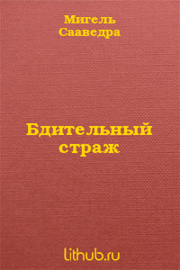 Бдительный страж