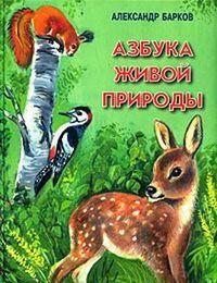 Беличий порядок