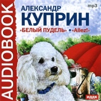 Белый пудель