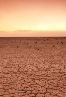 Бездарность