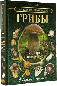 Большая энциклопедия. Грибы. Съедобные и несъедобные