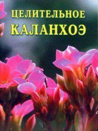 Целительное каланхоэ