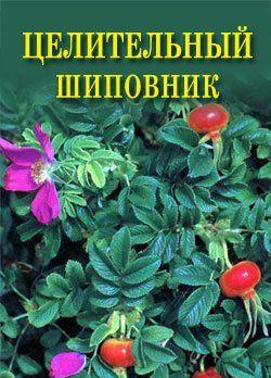 Целительный шиповник