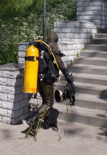 Чашка какао