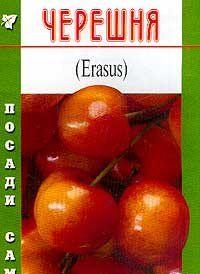 Черешня