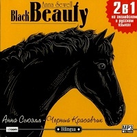 Черный Красавчик