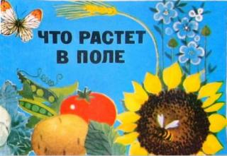 Что растет в поле