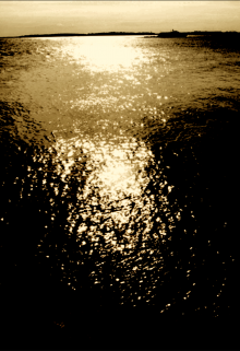 Чёрный огонь