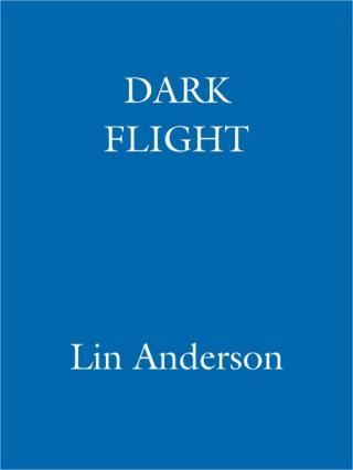 Dark Flight