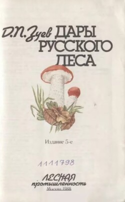 Дары русского леса