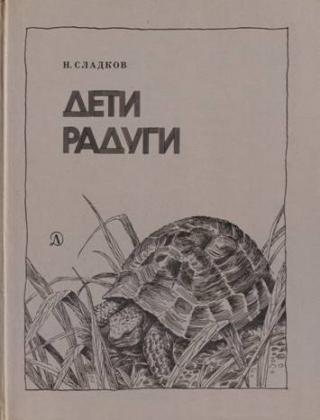 Дети радуги