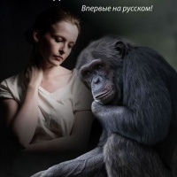 Дом обезьян