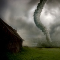 Дорога из желтой чешуи (СИ)