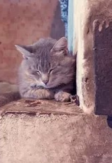 Дорога в никуда