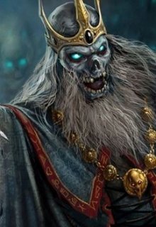 Не каноническая история про приключения. Что случается, когда ты умираешь? А если при этом у тебя душа... Душа некроманта