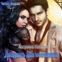 Двадцать два несчастья