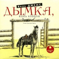 Дымка. Конь ковбоя