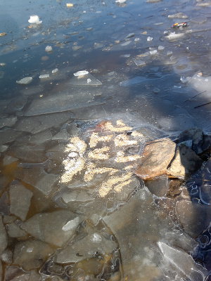 Экстрасенс (СИ)