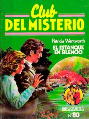 El Estanque En Silencio