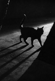 Есаулов тупичок, 13