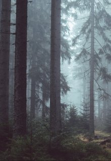 Фауна. Деволюция