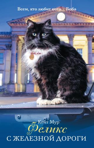 Феликс с железной дороги [litres]