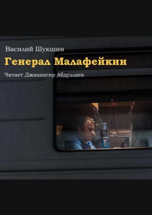 Генерал Малафейкин