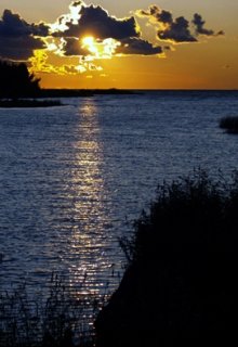 Гербарий (СИ)