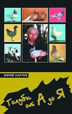 Голуби от А до Я