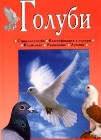 Голуби