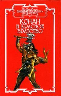 Город кошек