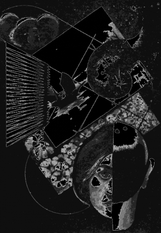 Гости Платонова