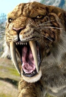 Настоящий хищник вступит в бой с даже с соизмеримой с ним по размеру... Хищник