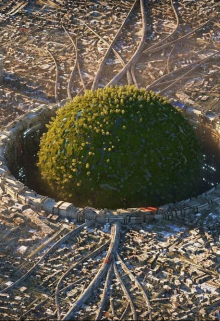 Хранители великого древа