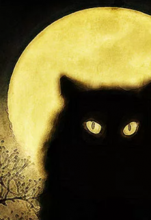 Хутор Кошачий.