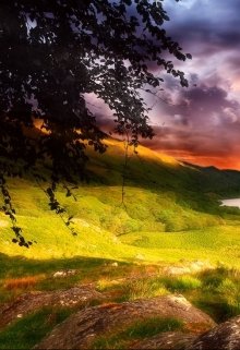 Институт истории